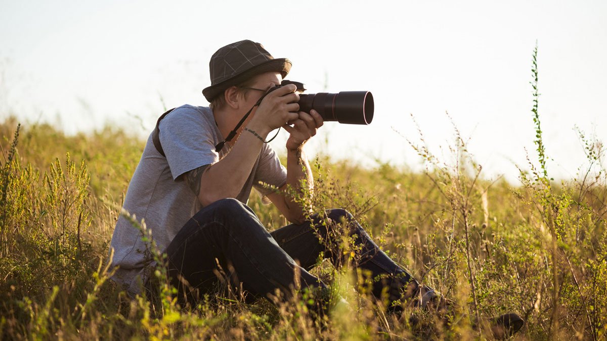 A Photographic Journey Through Nature’s Timeless Tapestry.